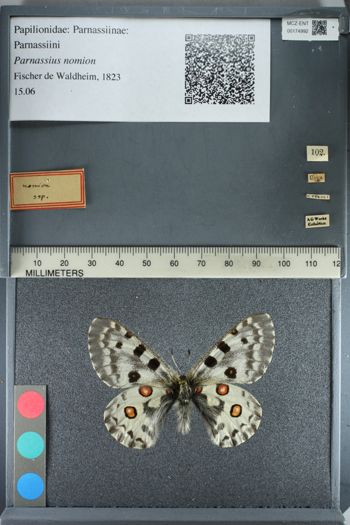 Media type: image;   Entomology 174992
